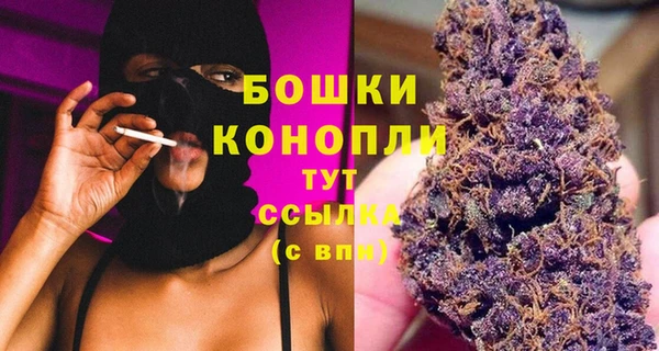 шишки Горнозаводск