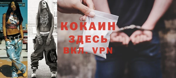 шишки Горнозаводск