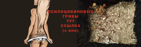 гидропоника Гусь-Хрустальный