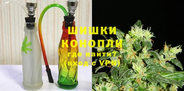 шишки Горнозаводск