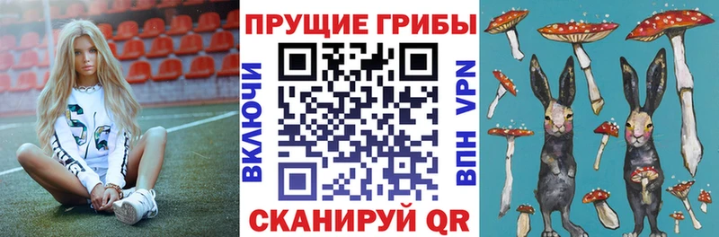 Галлюциногенные грибы Magic Shrooms  Электросталь 